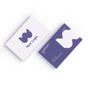 carte visite standard